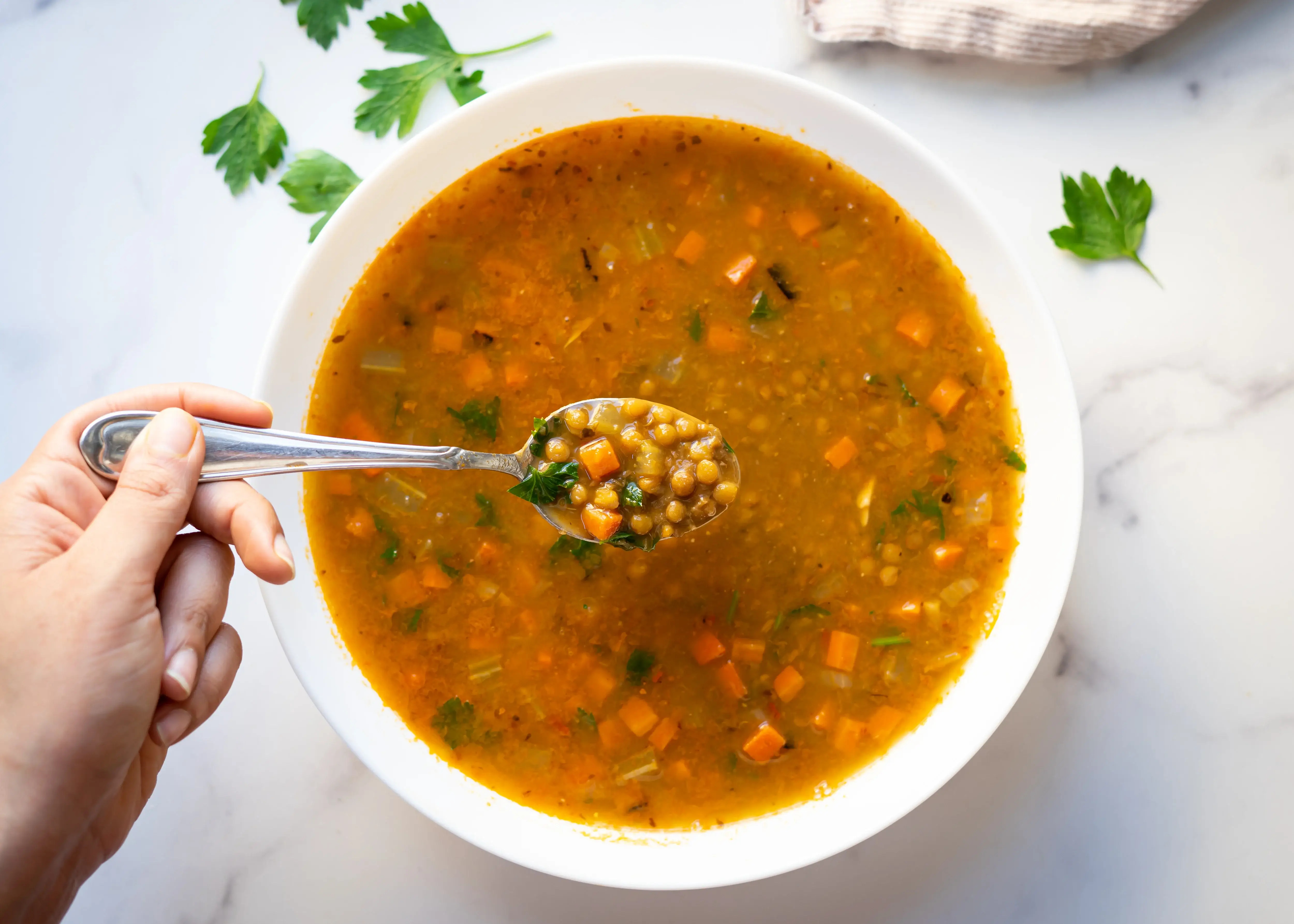 Herbed Lentil Soup